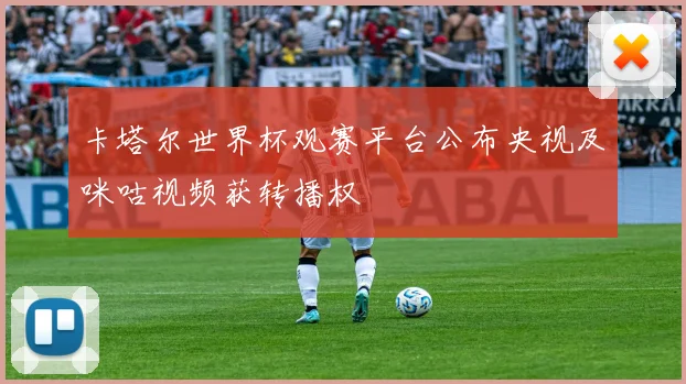 卡塔尔世界杯观赛平台公布央视及咪咕视频获转播权