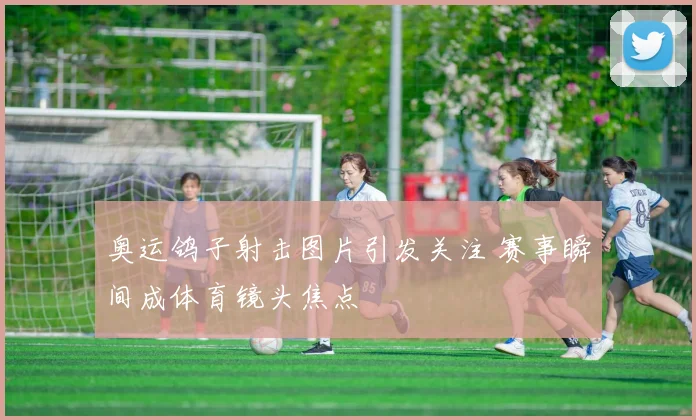 奥运鸽子射击图片引发关注 赛事瞬间成体育镜头焦点